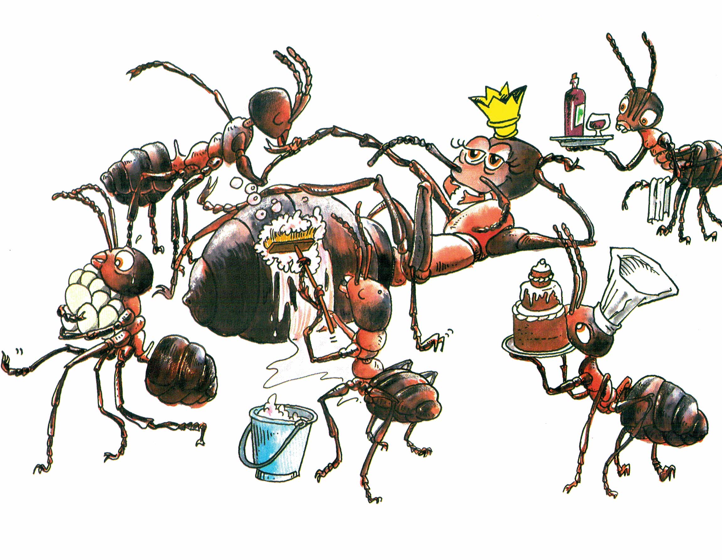 La Reine Des Fourmis A Disparu Questionnaire Ce2 Reine des fourmis